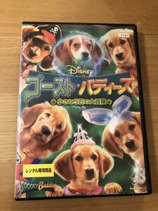 洋画DVD 「ゴースト・バディーズ　小さな5匹の大冒険」ウオルトディズニー作品　バディーズVS怪しい魔術師　