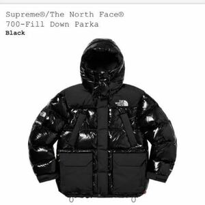 Lサイズ 新品　Supreme The North Face 700-Fill Down Parka シュプリーム ノースフェイス シュプノース ダウンジャケット