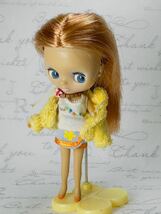 プチブライス サンセットサーファー ドール Blythe タカラ スタンド付き_画像1