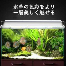 LEDGLE 水槽ライト ledアクアリウムライト 10W 39個LED 50～60cm対応 熱帯魚/観賞魚飼育・水草育成・水槽照明用 (39LED灯＆長さ：50cm)_画像5