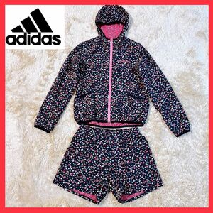 【未使用】adidas アディダス セットアップ ナイロン　ゴルフ　上下 花柄 