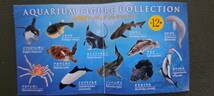 海洋堂　日本の水族館　改訂版　全12種　未開封品　_画像2