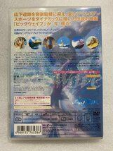 セル版 DVD ビッグウェイブ Big Wave ビッグウェイヴ 山下達郎_画像2