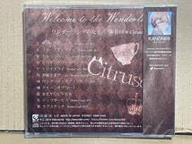 新品未開封 CD 奏音69 Citruscat / ワンダーランドの女王 巡音ルカ KANON69 カノンロック ボカロP_画像2