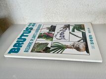 BRUTUS 特別編集 BIZARRE PLANTS HANDBOOK 合本 珍奇植物 総まとめ マガジンハウス 中古本 / ブルータス ハンドブック_画像5