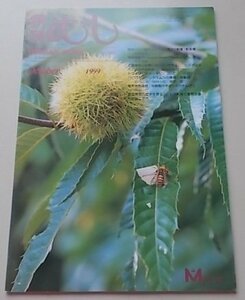 月刊むし　344号　1999年10月号　表紙：カシワスカシバ