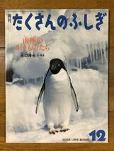 たくさんのふしぎ★369号　南極の生きものたち★水口博也　文・写真_画像1