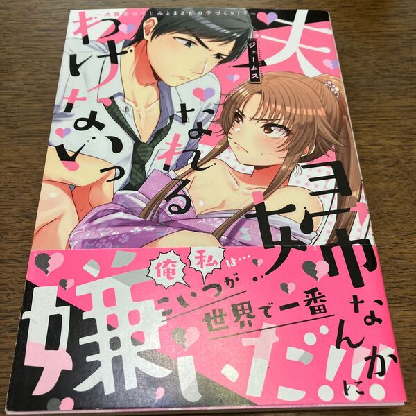 夫婦なんかになれるわけないっ~犬猿の幼な (Kyun Comics シュガーシロップ) ジェームス 著