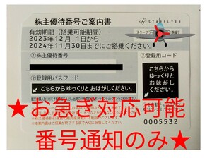 迅速対応可能 スターフライヤー 株主優待券 1枚 番号通知のみ 決済後18時間以内に通知