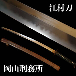 江村刀　見事な刃文　軍刀拵　日本軍受命刀匠 長運斎江村造　長66.6/反1.6cm　岡山刑務所 日本刀 太刀 打刀 武具 居合 検) 監獄長光