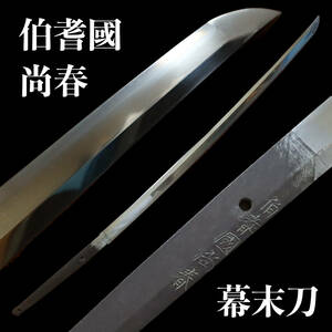 伯耆国尚春 (秀春)　なかなか出ない 幕末の豪壮刀　長72.6/反1.0cm　藤本尚春 幕末刀 勤王刀 日本刀 太刀 打刀 武具 居合