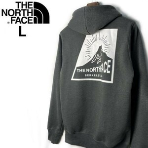 1円～!売切!【正規新品】THE NORTH FACE◆NOV GRAPHIC HOODIE パーカー US限定 2023最新 男女兼用 裏起毛 アウトドア(L)グレー 181130-33