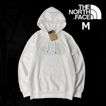 1円～!売切!【正規新品】THE NORTH FACE◆NOV HALFDOME HOODIE パーカー スウェット 2022最新 立体ロゴ アウトドア 裏起毛(M)白 181130-30_画像3