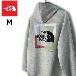 1円～!売切!【正規新品】THE NORTH FACE◆W NOV GRAPHIC HOODIE パーカー US限定 ボックスロゴ キャンプ グラフィック(M)グレー 181130-30