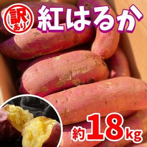 【訳あり野菜】茨城県産　さつまいも　紅はるか　土付き　約18kg