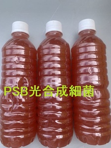 ☆1円スタート☆PSB とことん活用. 光合成細菌　約1,500ml　紅色硫黄細菌　培養　現代農業　メダカ　肥料　堆肥　水質改善