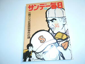 サンデー毎日 1984年昭和59年4 8 大地真央/江崎グリコ社長誘拐事件の謎/海老名香葉子×二木源治/全国著名300高校主要大学合格者数