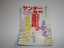 サンデー毎日 1988年昭和63年10 30 伊丹十三×桂文珍対談/美空ひばり&秋元康/小和田雅子さん/三波春夫/アグネス・チャン/リクルート新疑惑_画像1