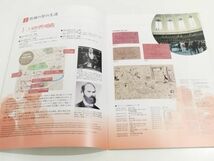 361-D11/南方熊楠 100年早かった智の人/国立科学博物館パンフレット/2017年_画像2