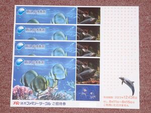 ★新江ノ島水族館 招待券 1枚～3枚★送料63円～★2023年12月31日まで★新江ノ島水族館 　ご招待券　