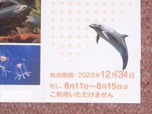 ★新江ノ島水族館 招待券 1枚～4枚★最大2枚★送料63円～★2023年12月31日まで★新江ノ島水族館 　ご招待券　_画像3