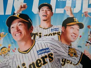 ■2024 阪神タイガース 公式ファンクラブ 会員募集 チラシ、フライヤー ６枚