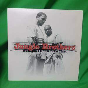 12' レコード Jungle Brothers - Because I Got It Like That
