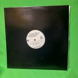 12' レコード Various - Selections From - Everybody Dance! Remixed Dance Classics