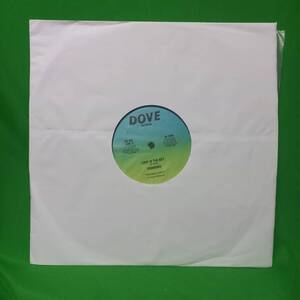 12' レコード Evowiser - Love is The Key / Do Good