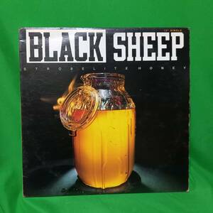 12' レコード Black Sheep - Strobelite Honey