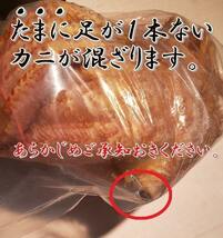 毛ガニ 2尾 （約１ｋｇ） 新物 北海道産 生食用 ボイル 　一折れだけど 身入り バッチリです_画像9