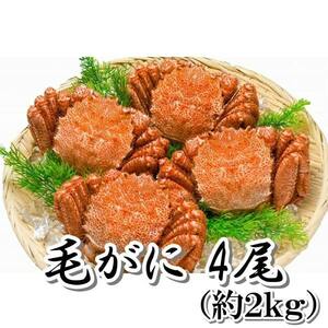 毛ガニ 4尾 （約２ｋｇ） 新物 北海道産 生食用 ボイル 　一折れだけど 身入り バッチリ