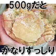 毛ガニ 4尾 （約２ｋｇ） 新物 北海道産 生食用 ボイル 　一折れだけど 身入り バッチリ_画像2