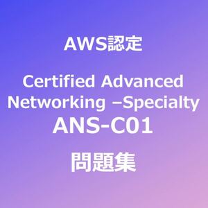 AWS ANS-C01 問題集｜11月20日最終確認