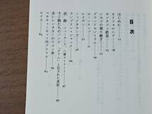 ★サム・シェパード「ローリング・サンダー航海日誌 ディランが街にやってきた」★河出文庫★1993年初版★状態良_画像3