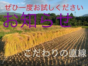 お知らせ！好評です★熊本県産★こだわりの掛け干し#新米★令和5年産★ひのひかり　ヒノヒカリ　10ｋｇ★白米限定出品　ひ