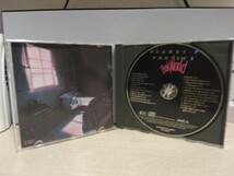 ☆PLANET P PROJECT☆PINK WORLD【必聴盤】TONY CAREY トニー・カーリー CD_画像2