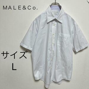 MALE&Co.(L)Yシャツ 半袖 ストライプ ホワイト パープル 襟