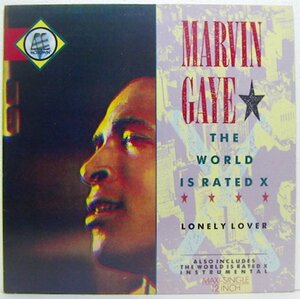 12”Single,MARVIN GAYE　THE WORLD IS RATED X　ドイツ盤