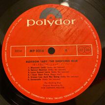 Shocking Blue【Blossom Lady】MP-2216 LP 1972 Rock Psychedelic Rock 人気盤 見開きペラジャケ_画像7