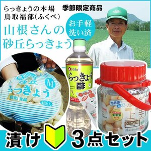 【即決】新物予約5月下旬～予約順に出荷】鳥取県福部産「山根さんの砂丘らっきょう3点set(らっきょう/酢/漬け瓶】1kg(Ｓ-Ｍサイズ)[常温]