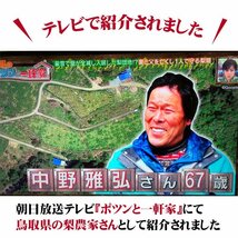 早期送料無料☆即決☆王秋(おうしゅう)梨【鳥取県産】10月下旬～予約順に出荷【自家用】5kg箱(7～16玉入)なしナシシャイン中野_画像2