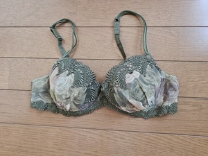 ☆ホームクリーニング済　トリンプ　モスグリーン花柄刺繍ブラ　Ｂ７５★