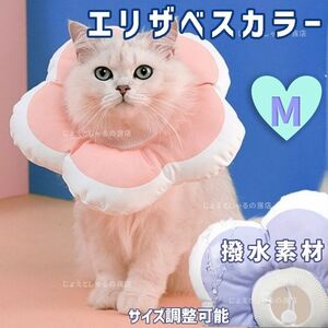 【コーラルM】ソフト　エリザベスカラー 術後ウェア 猫犬 皮膚病 雄 雌 撥水　防水 ねこのかぶりもの