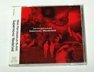 9mm Parabellum Bullet - Supernova/Wanderland シングル CD アニメ『RD 潜脳調査室』オープニングテーマ