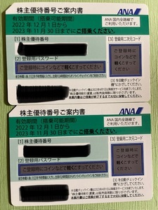 ANA全日空株主優待券2枚有効期限2023年11月30日まで