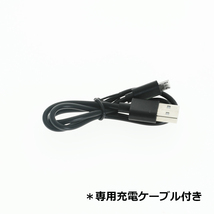 送料無料 Sony NP-BD1 NP-FD1 NP-BG1 NP-FG1 NP-FE1 NP-FR1 NP-FT1急速 互換 USB 充電器 バッテリーチャージャー_画像6