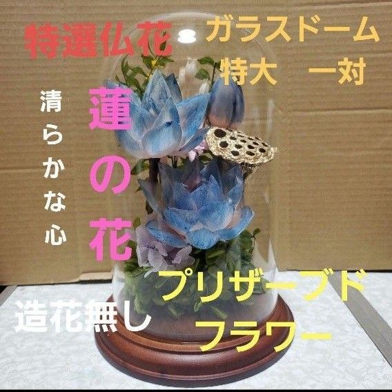 特選仏花 お供え花 蓮の花 清らかな心 ガラスドーム特大 プリザーブドフラワー