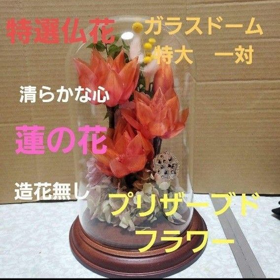 特選仏花 お供え花 蓮の花 清らかな心 ガラスドーム特大 プリザーブドフラワー
