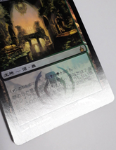 Magic:The Gathering/RAV 草むした墓 Overgrown Tomb/日1 FOIL_画像4